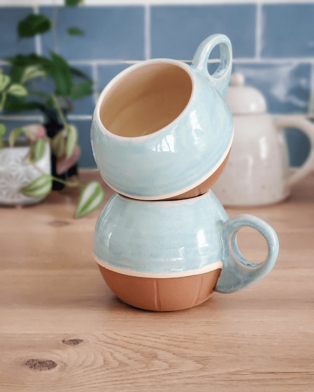Tasse Carapot