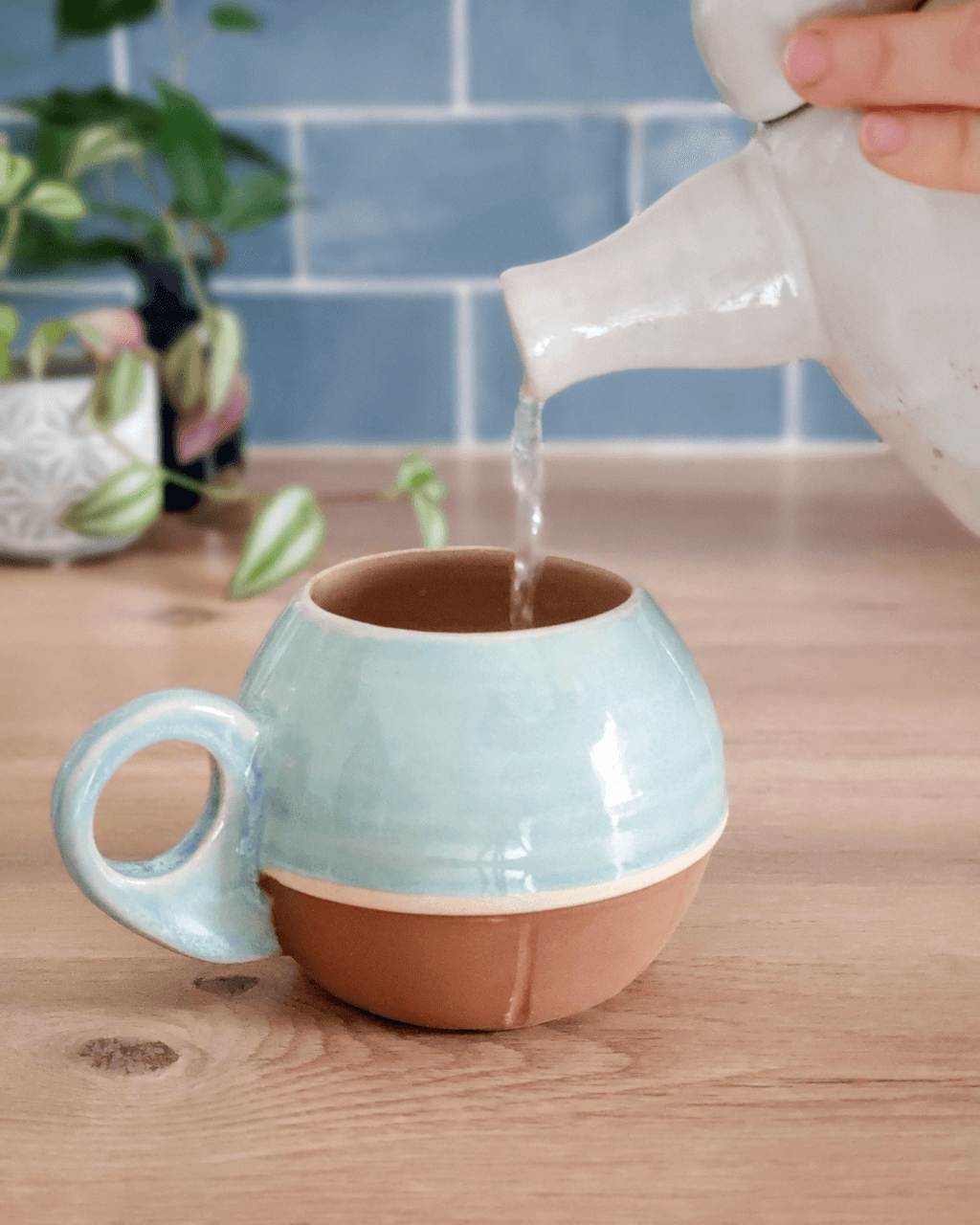 Tasse Carapot